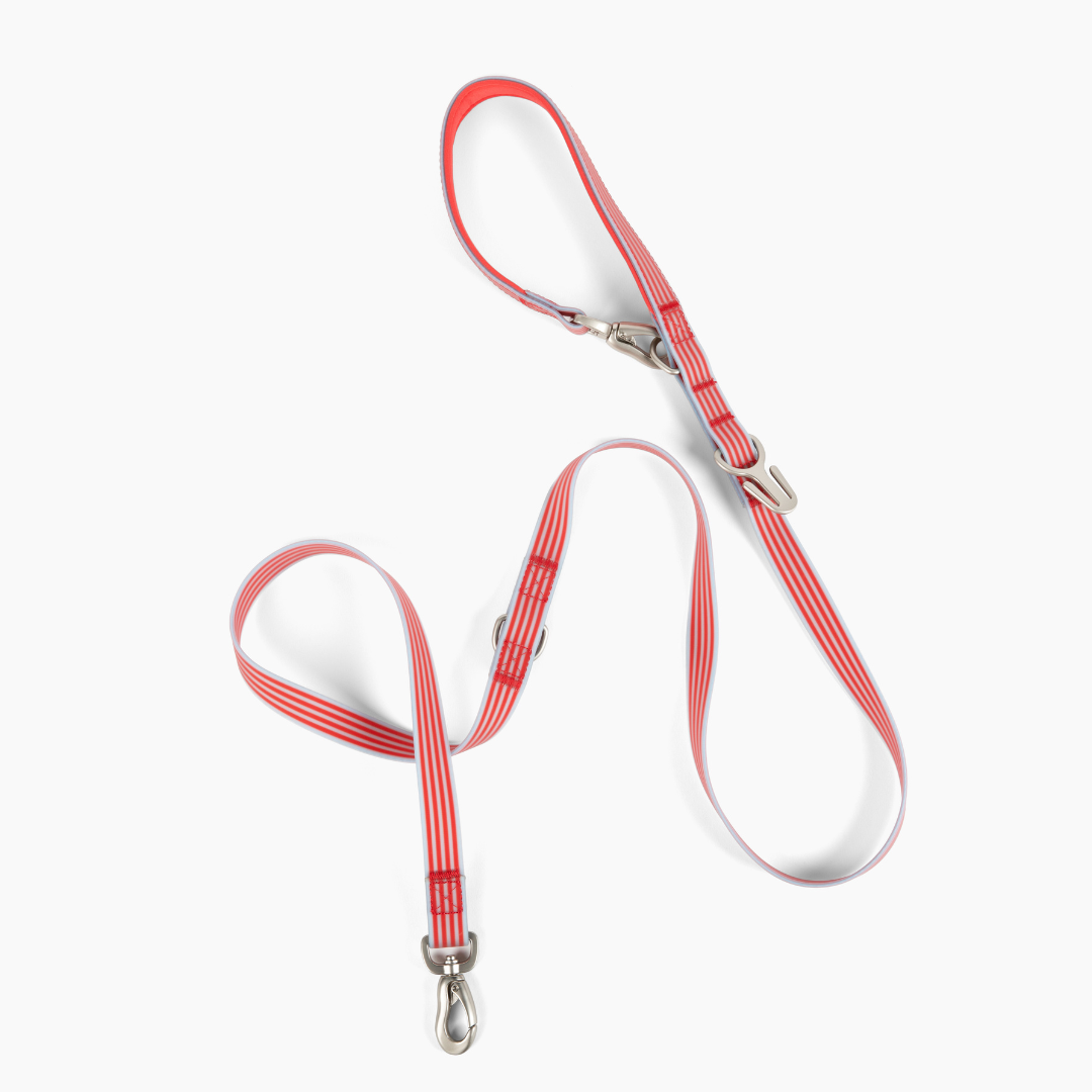 Waterproof Dog Leash | Easy-Clean Walking Lead | Leashly