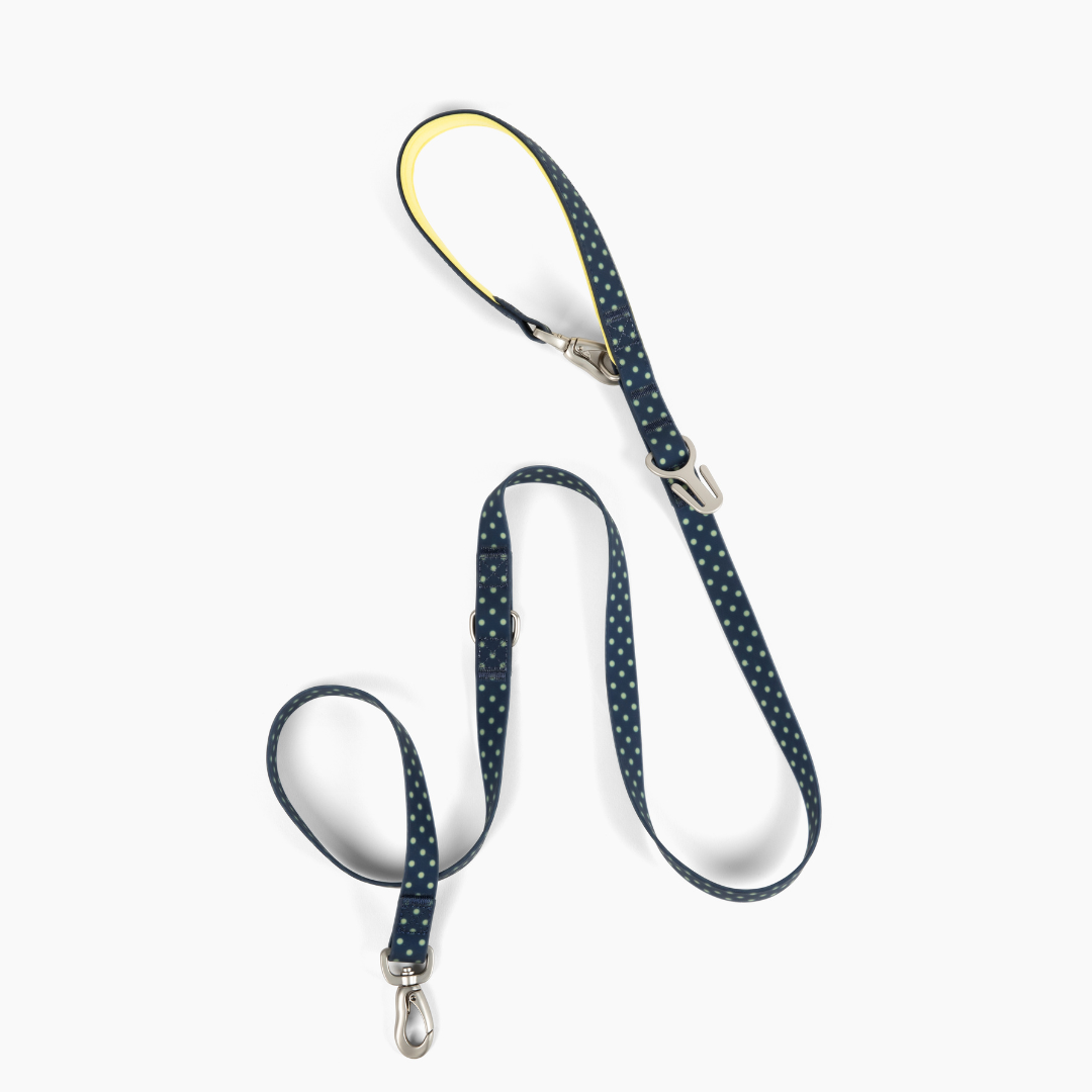 Waterproof Dog Leash | Easy-Clean Walking Lead | Leashly