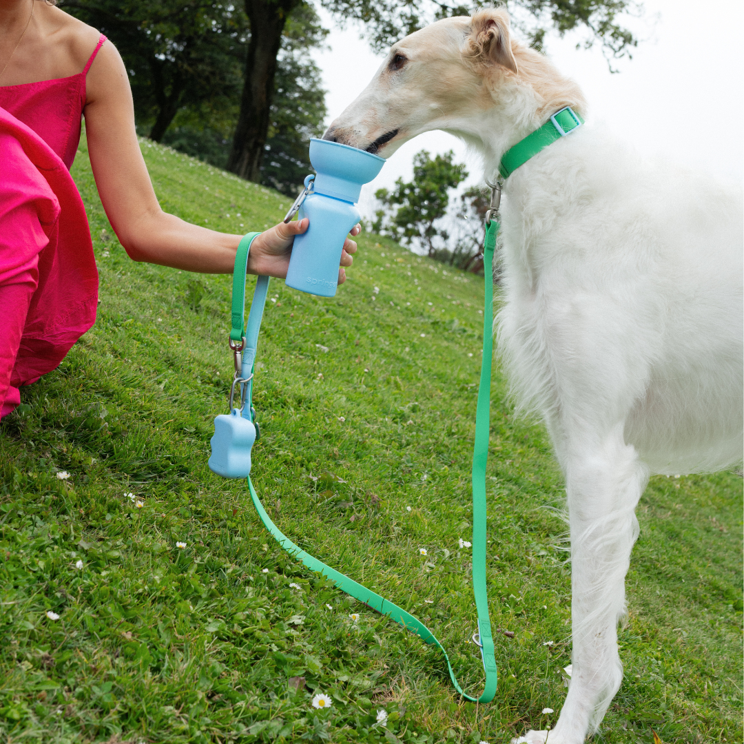Waterproof Dog Leash | Easy-Clean Walking Lead | Leashly