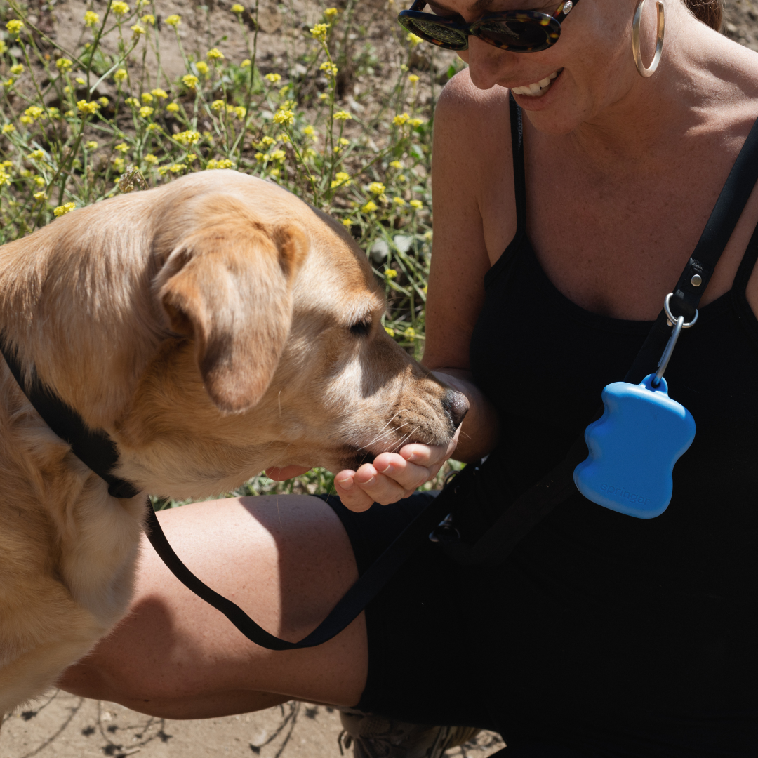 PawPop Treat Dispenser | Portable Silicone Dog Reward Pouch | PawPop