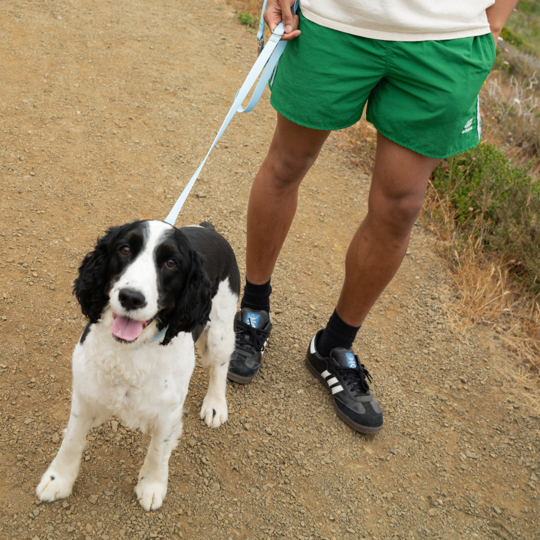 Waterproof Dog Leash | Easy-Clean Walking Lead | Leashly