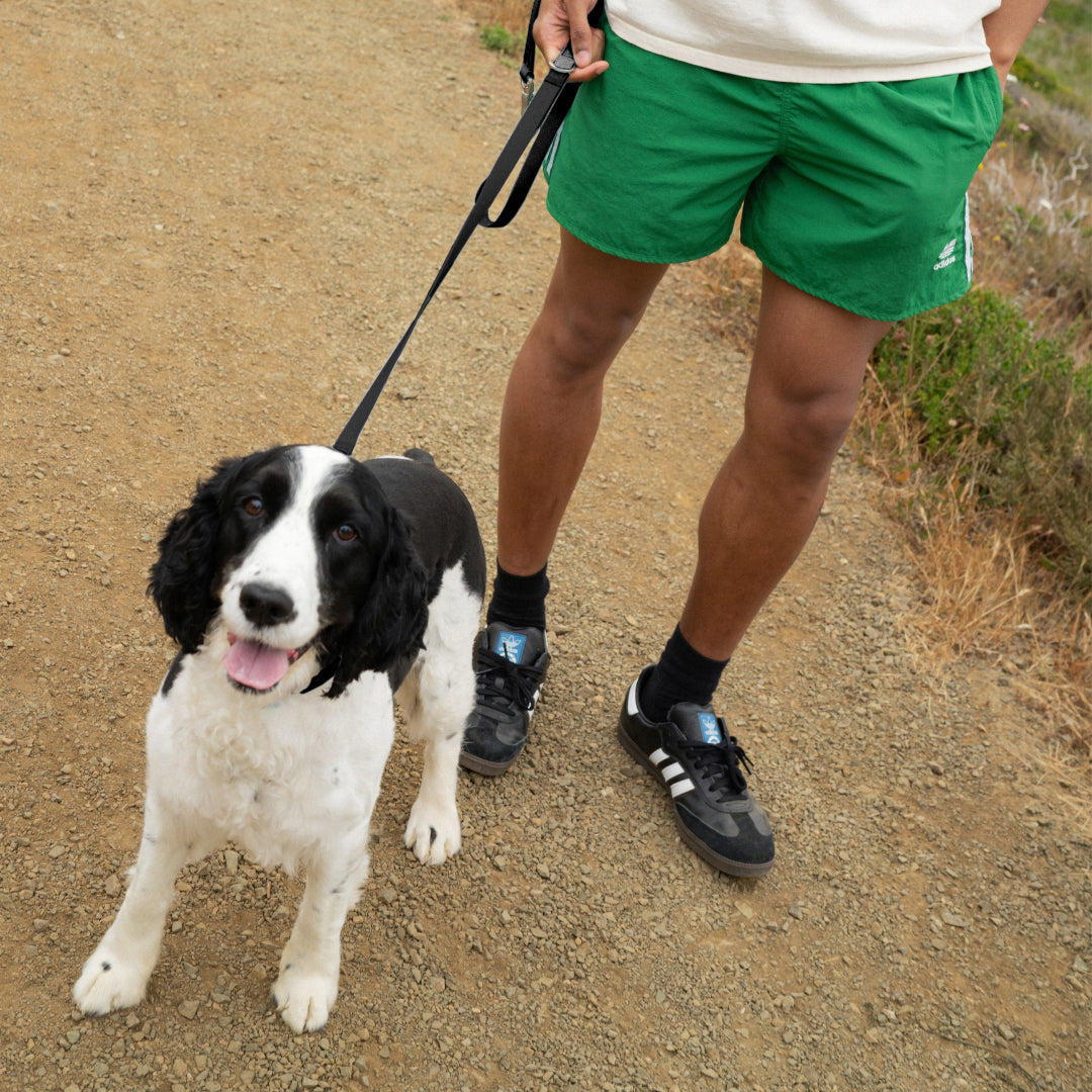 Waterproof Dog Leash | Easy-Clean Walking Lead | Leashly