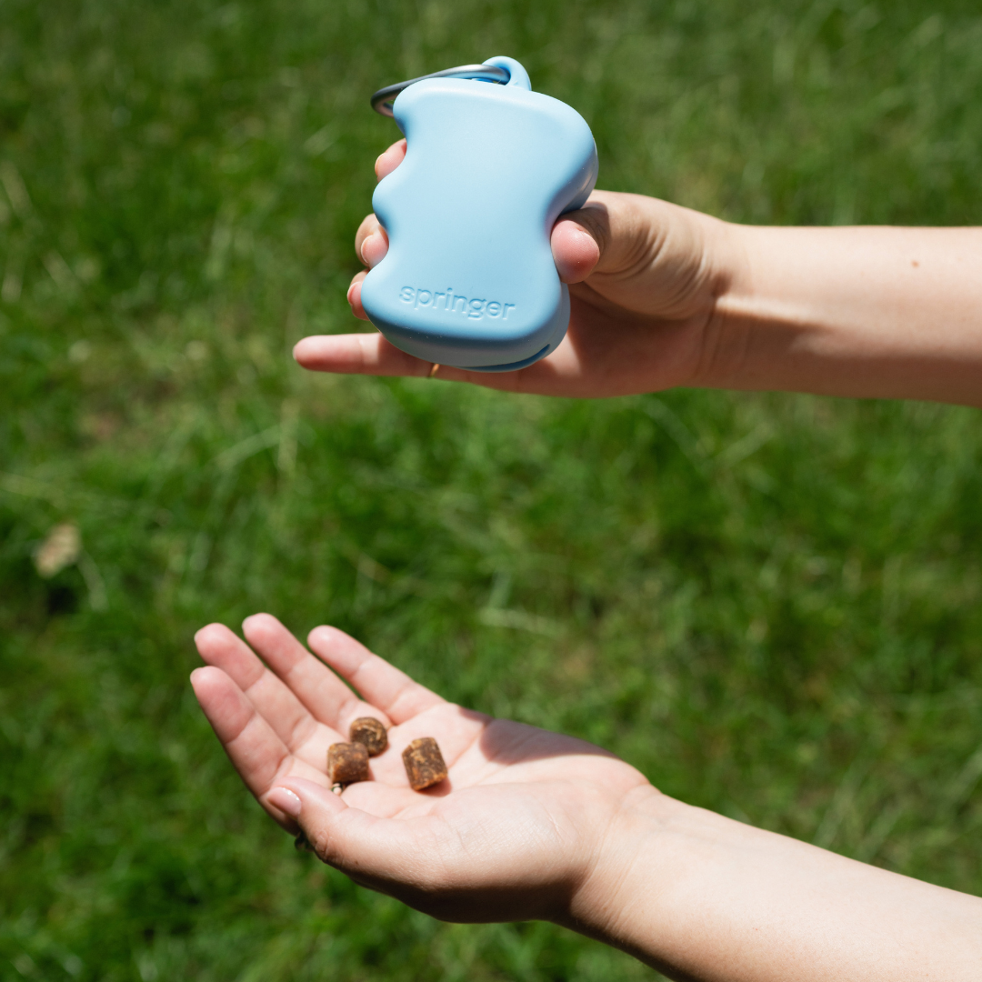 PawPop Treat Dispenser | Portable Silicone Dog Reward Pouch | PawPop