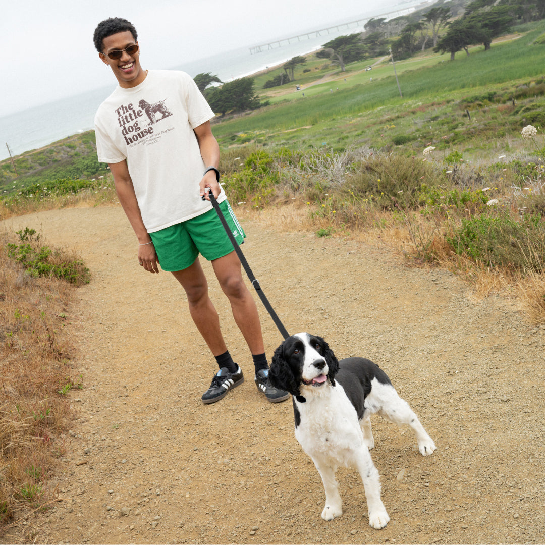 Waterproof Dog Leash | Easy-Clean Walking Lead | Leashly