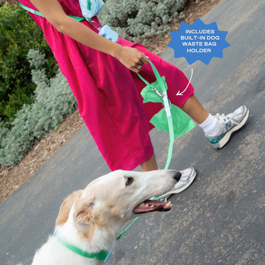 Hands-Free Dog Walking Bag | Leash Pouch for Walks & Training | Walkaroo