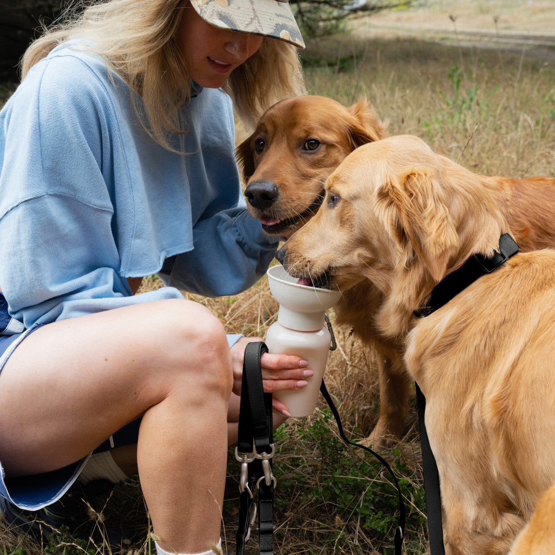 Waterproof Dog Leash | Easy-Clean Walking Lead | Leashly