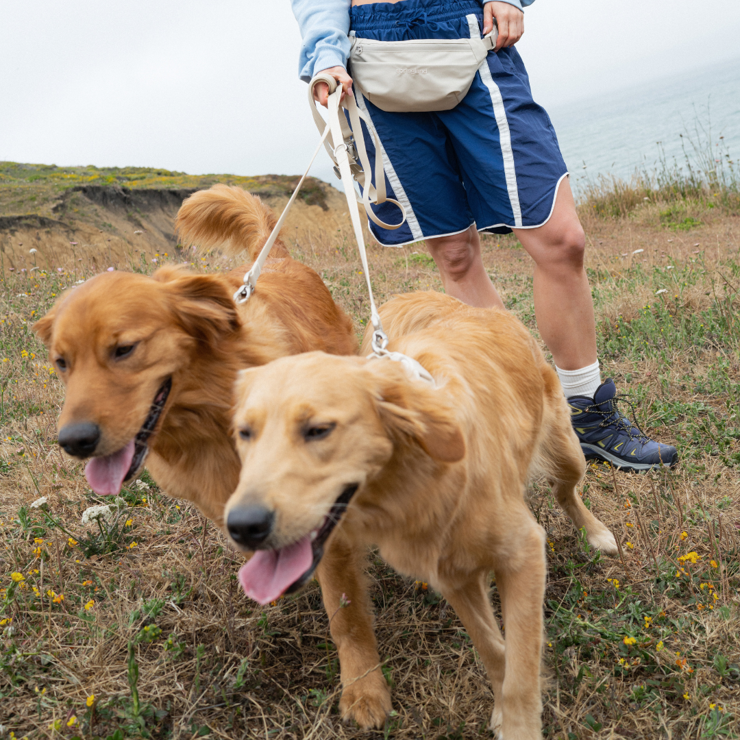 Hands-Free Dog Walking Bag | Leash Pouch for Walks & Training | Walkaroo