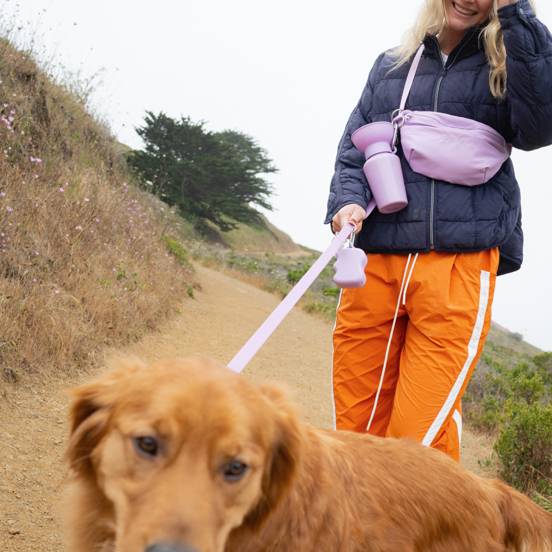 Hands-Free Dog Walking Bag | Leash Pouch for Walks & Training | Walkaroo