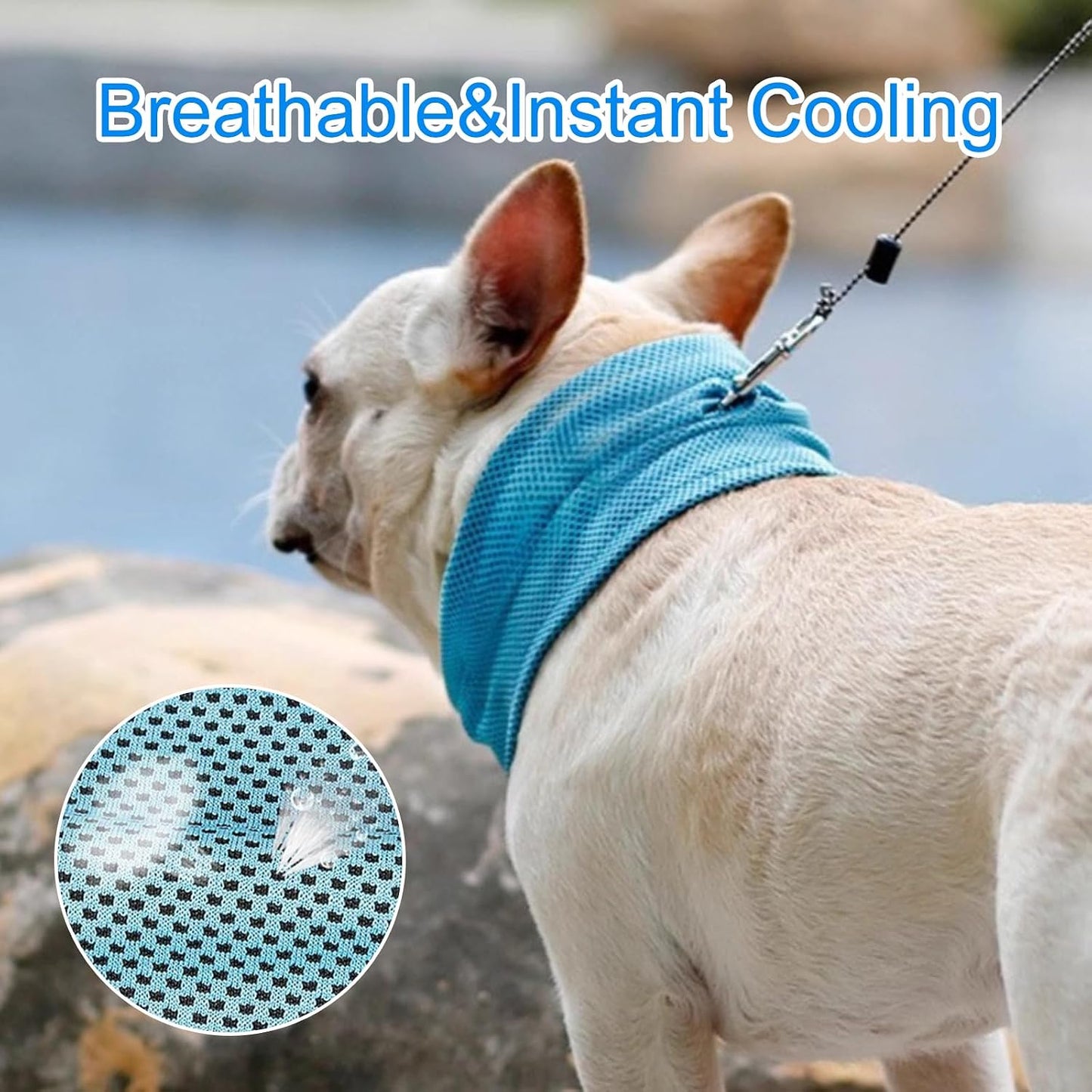 Dog Cooling Bandana | Breathable Summer Neck Scarf | ChillPup