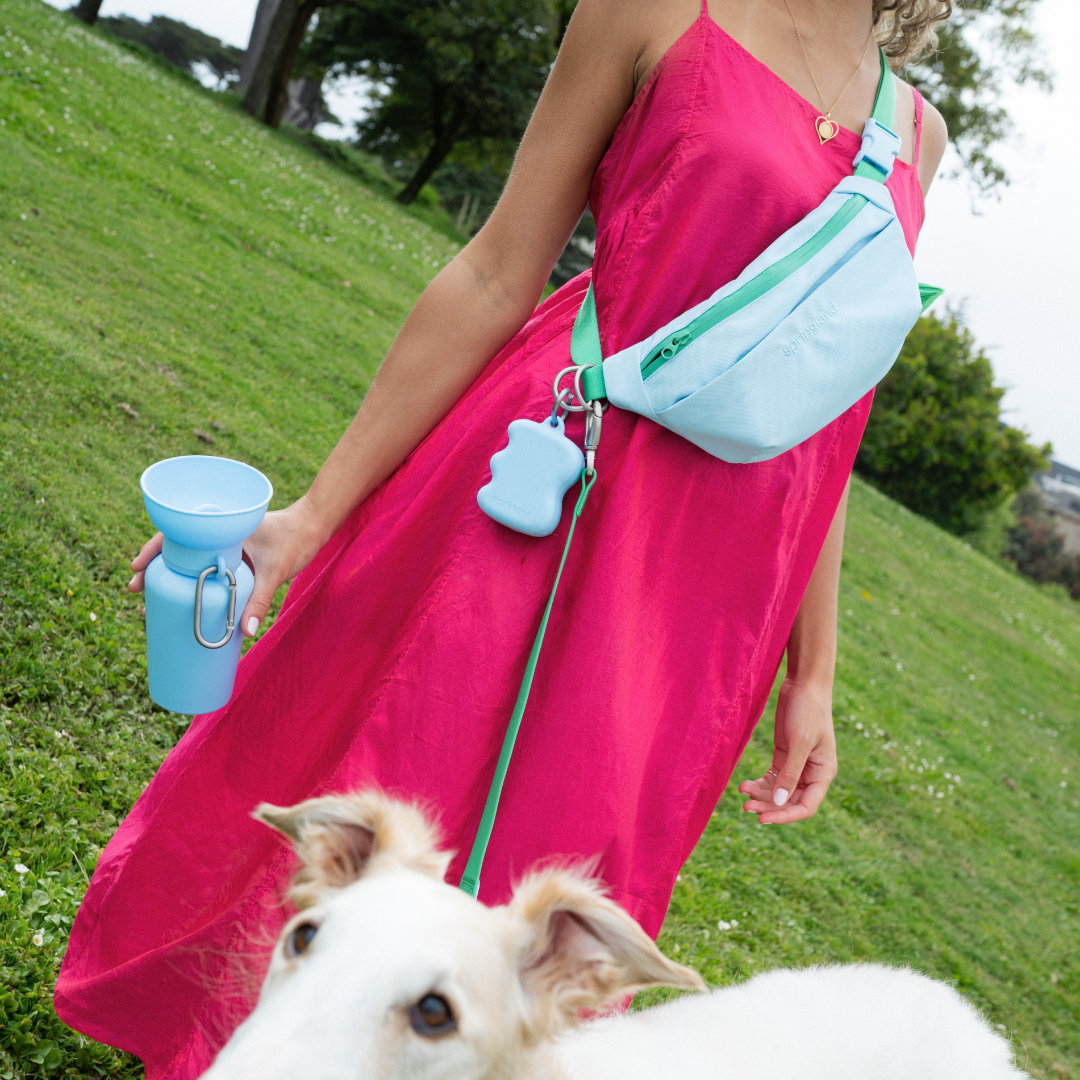 Hands-Free Dog Walking Bag | Leash Pouch for Walks & Training | Walkaroo