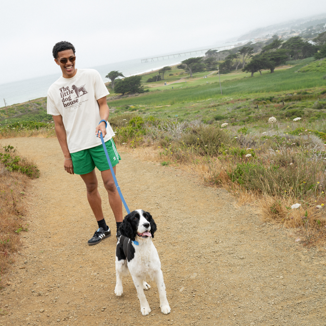 Waterproof Dog Leash | Easy-Clean Walking Lead | Leashly