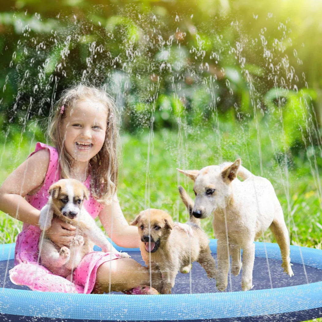 Dog Splash Pad | Outdoor Sprinkler Pool For Pets | WaPool