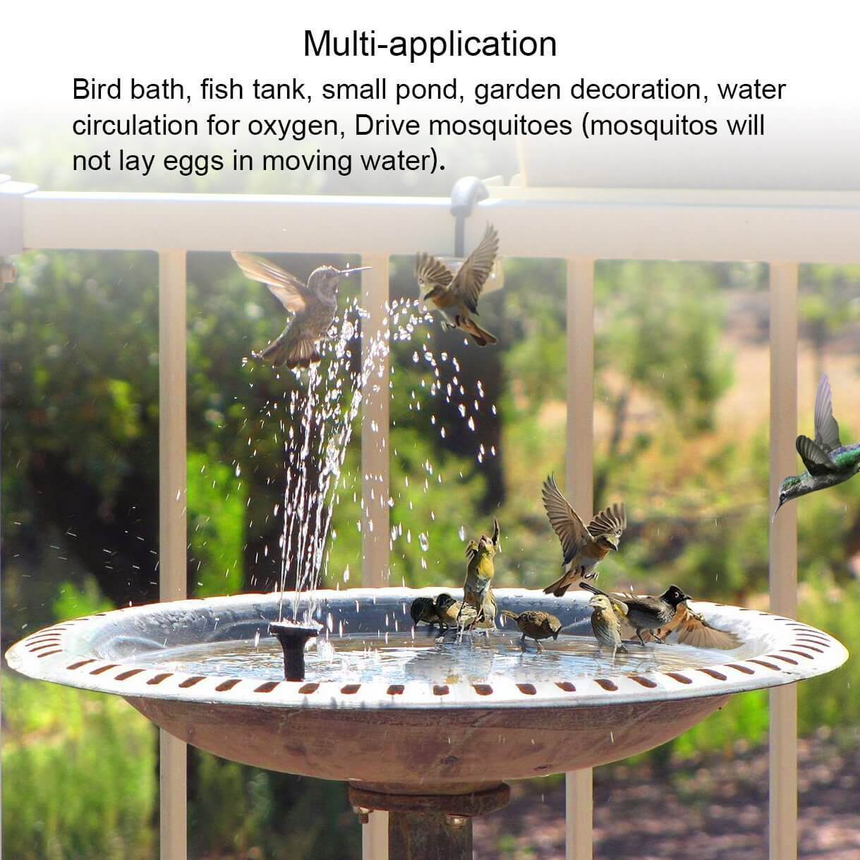 Solar Water Fountain | Floating Solar Bird Bath Fountain | SolarSplash