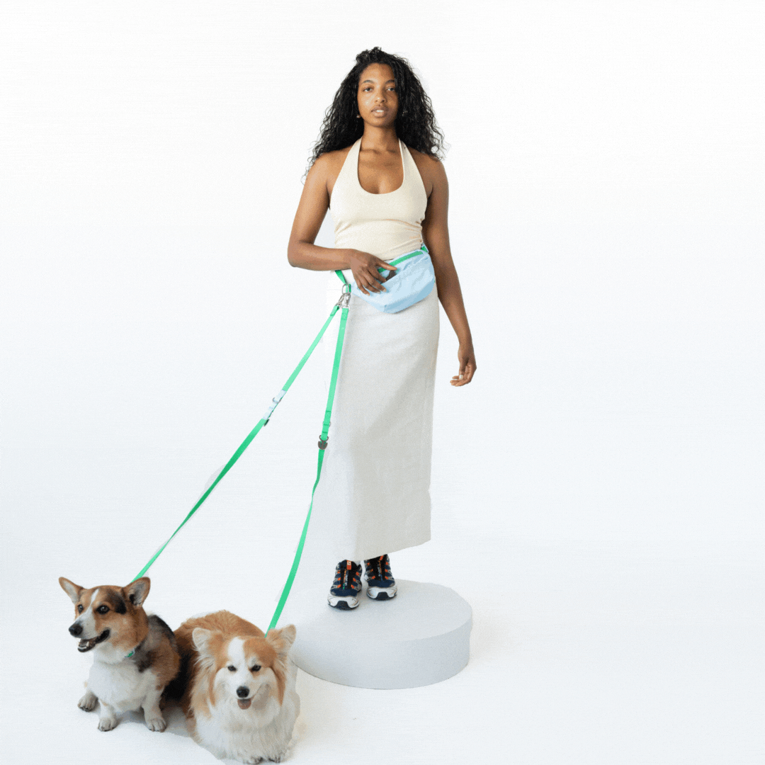 Hands-Free Dog Walking Bag | Leash Pouch for Walks & Training | Walkaroo